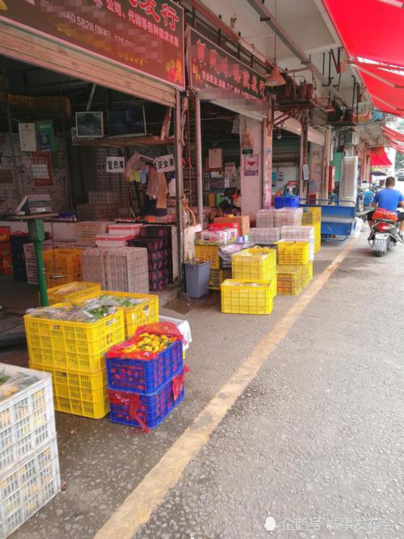教你选对好食材，打造美味佳肴